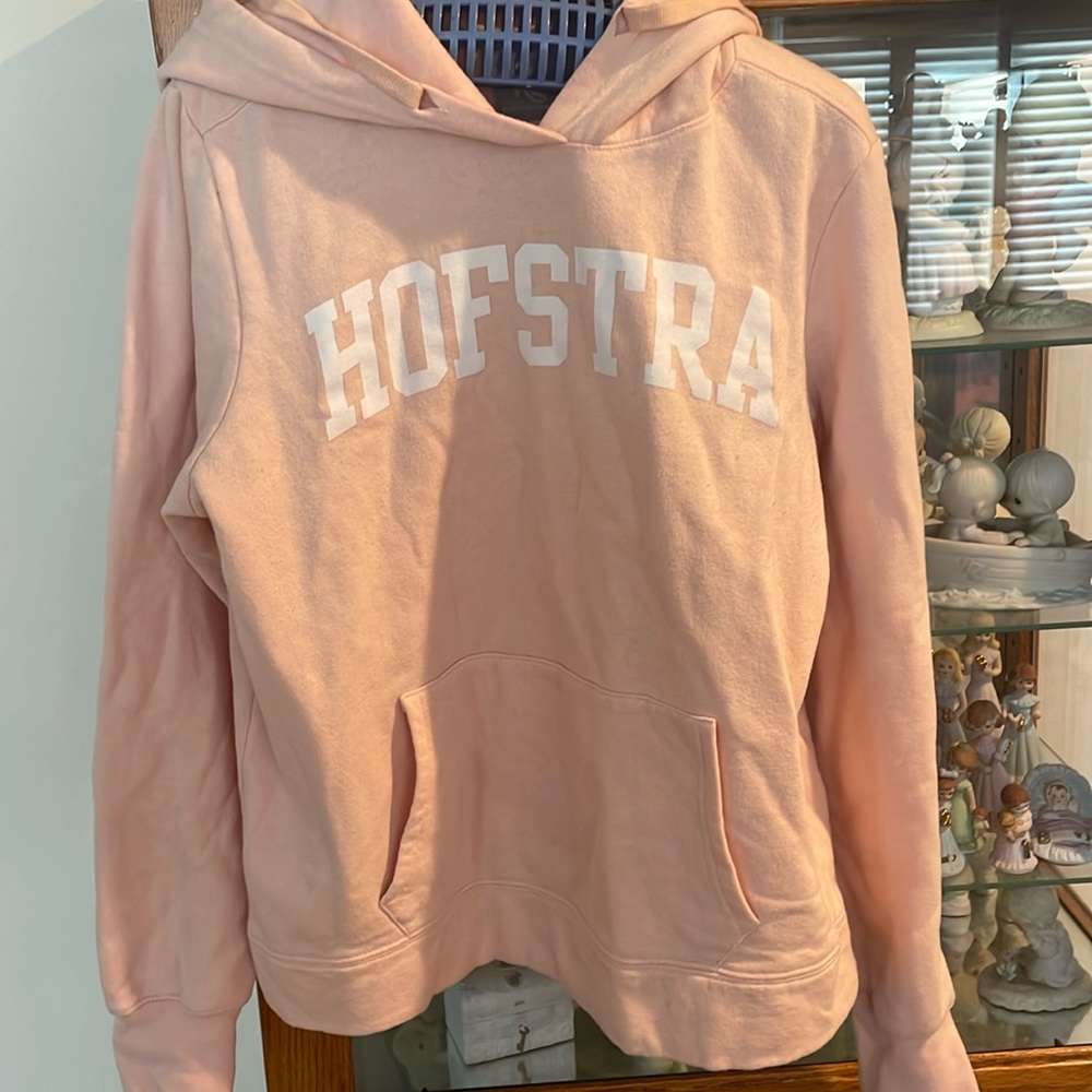 Hofstra hoodie sweatshirt. Color Peach. Size Large